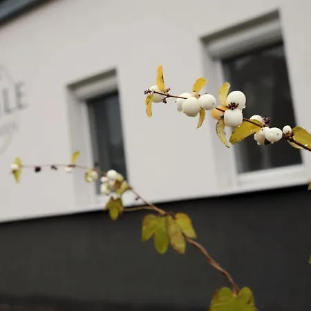 étoile *